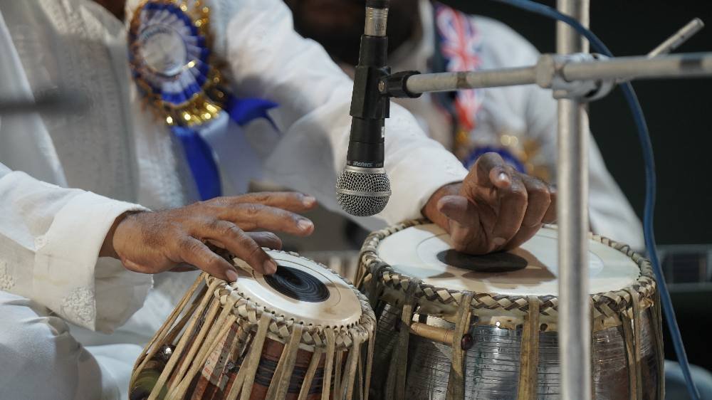 Chitra Bina tabla classes
